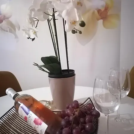 Apartment Orchis Kragujevac