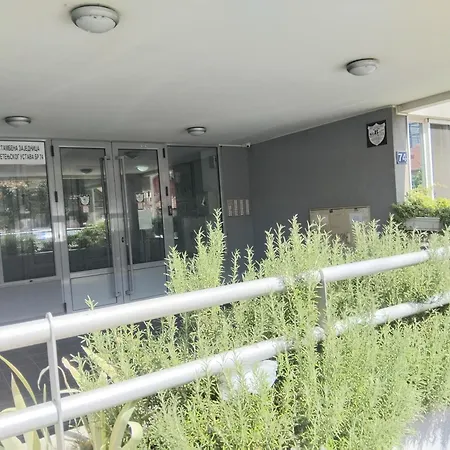 Апартаменты Orchis Крагуевац