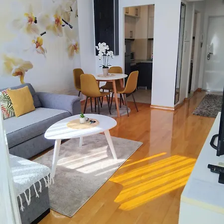 Apartment Orchis Kragujevac