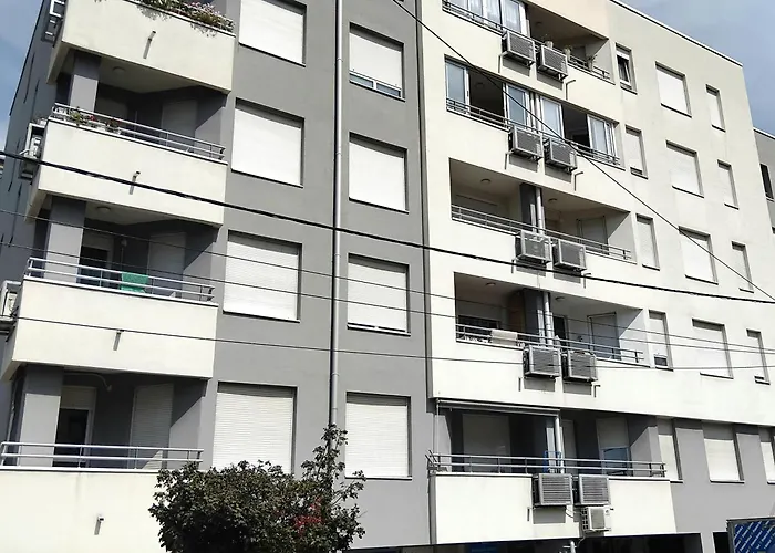 Apartmán Orchis Kragujevac