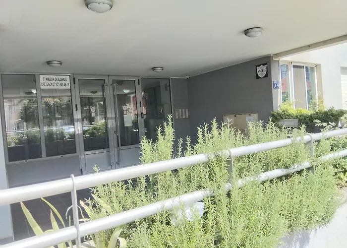 Apartmán Orchis Kragujevac